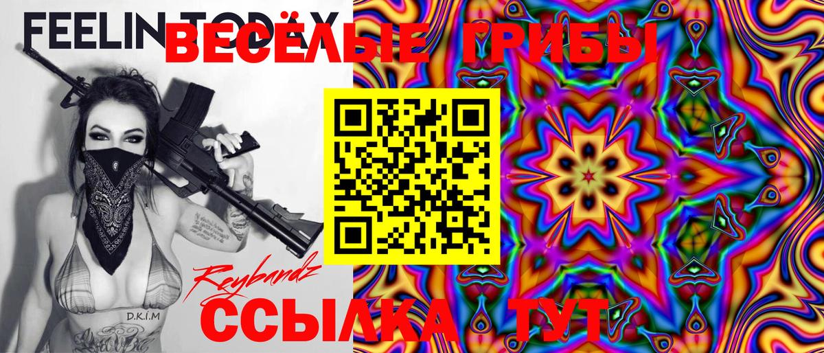 Галлюциногенные грибы Psilocybine cubensis Анжеро-Судженск