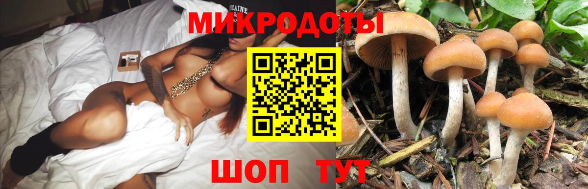 Анжеро-Судженск  Галлюциногенные грибы Psilocybe  Вход с VPN 